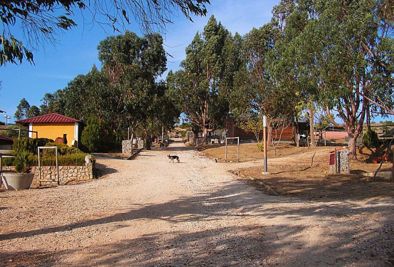 Herdade Da Hera ازامبوجا المظهر الخارجي الصورة