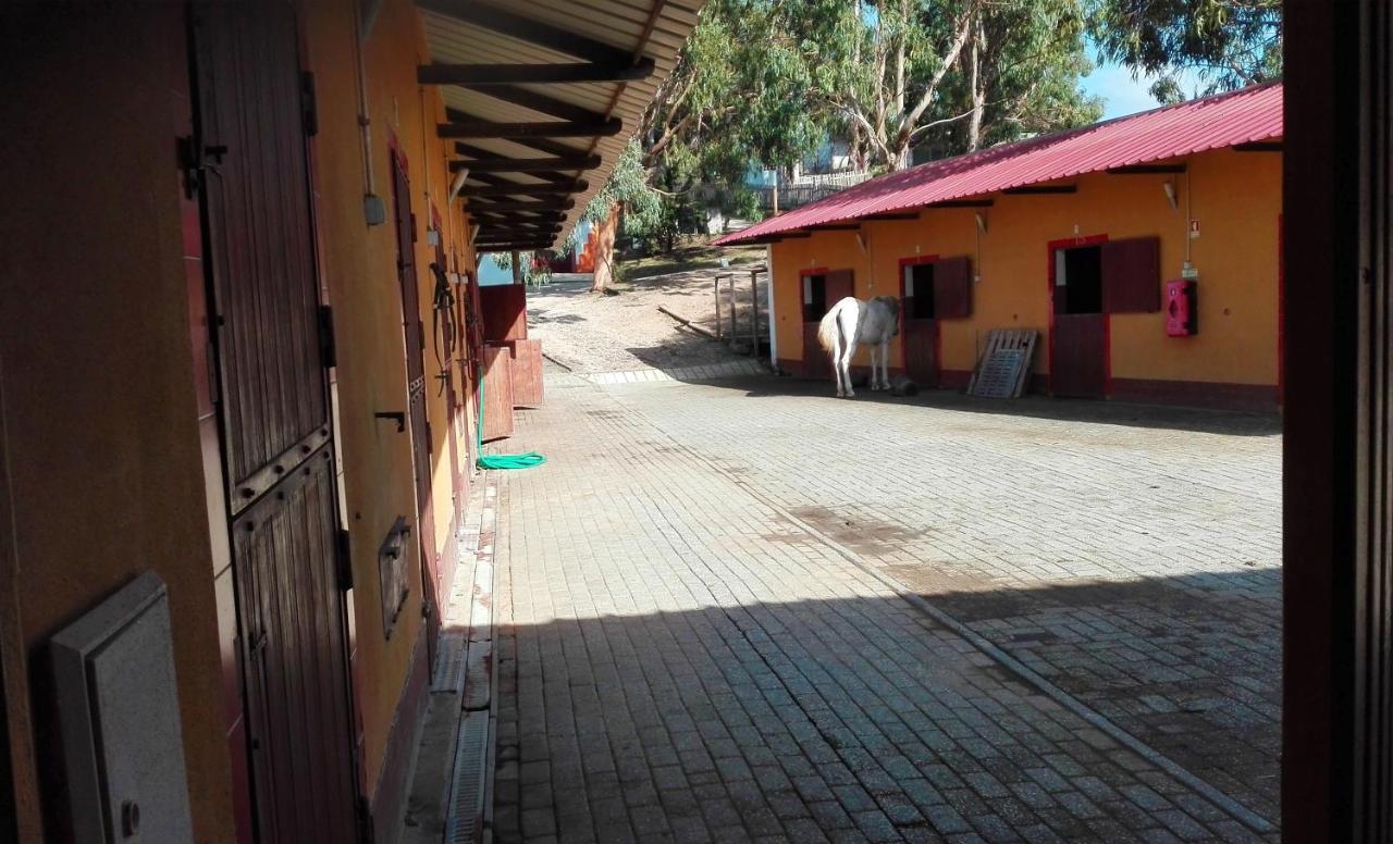 Herdade Da Hera ازامبوجا المظهر الخارجي الصورة